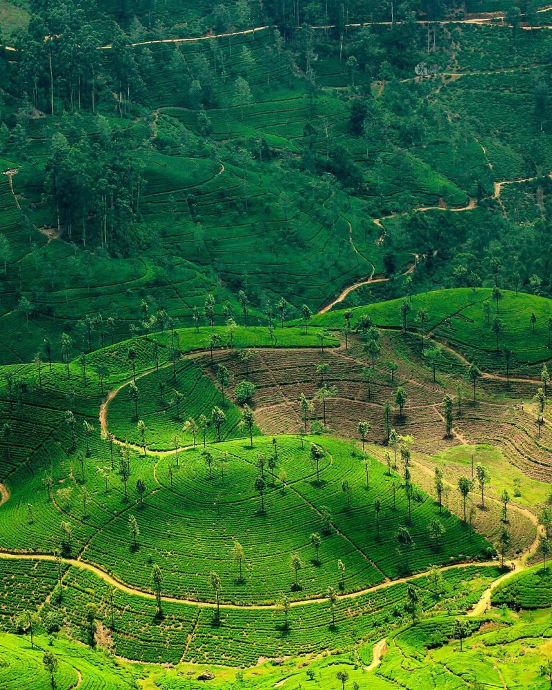 Sri Lanka Hill Country Ride