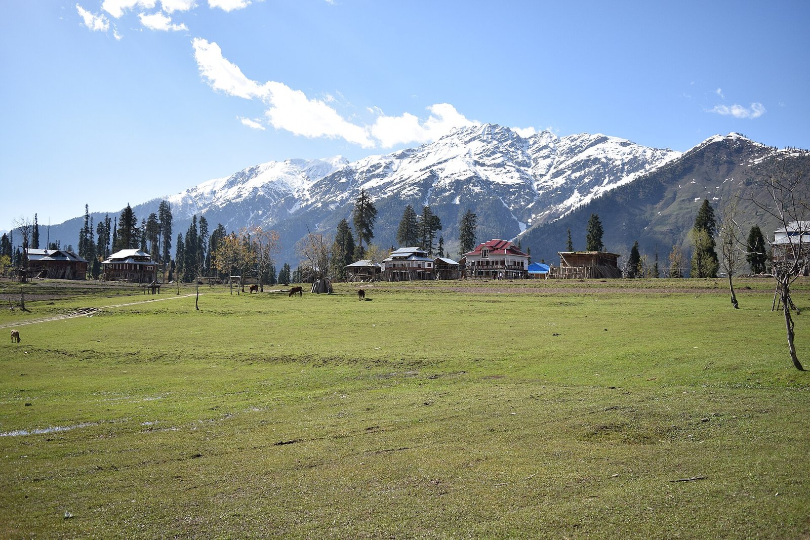 Scenic Himalayan Journeys
